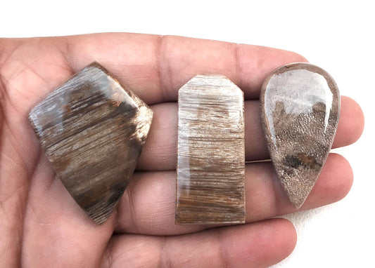 Exclusive Offer 3 Piece Natural Wood Jasper Cabochons,Multi Shape Cabs,Wood Jasper Loose Gemstone,Making Jewelry Wood color gemstone