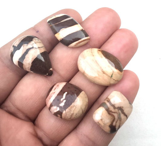 Very Nice Collection 5 Pieces Natural Coconut Jasper,Multi Shape Cabochon,Coconut Jasper Gemstone,Beautiful cabs,Making Jewelry,Wholesale