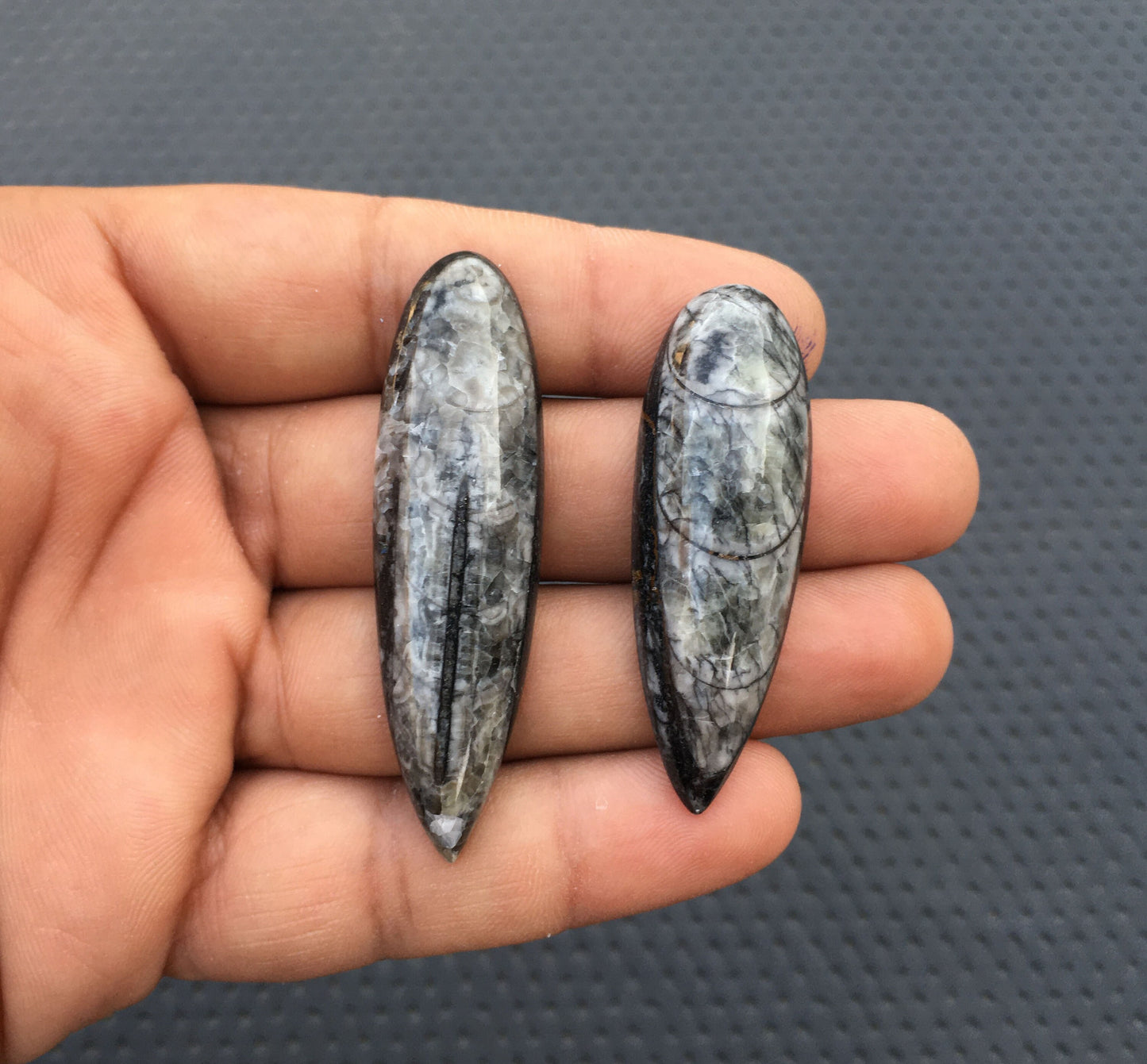 ORTHOCERAS FOSSIL Cabochons,Extra Large 2 Piece Natural Orthoceras Fossil Snakeskin Smooth Cabs,Size 16x55-16x58 MM Organic Fossil Stone