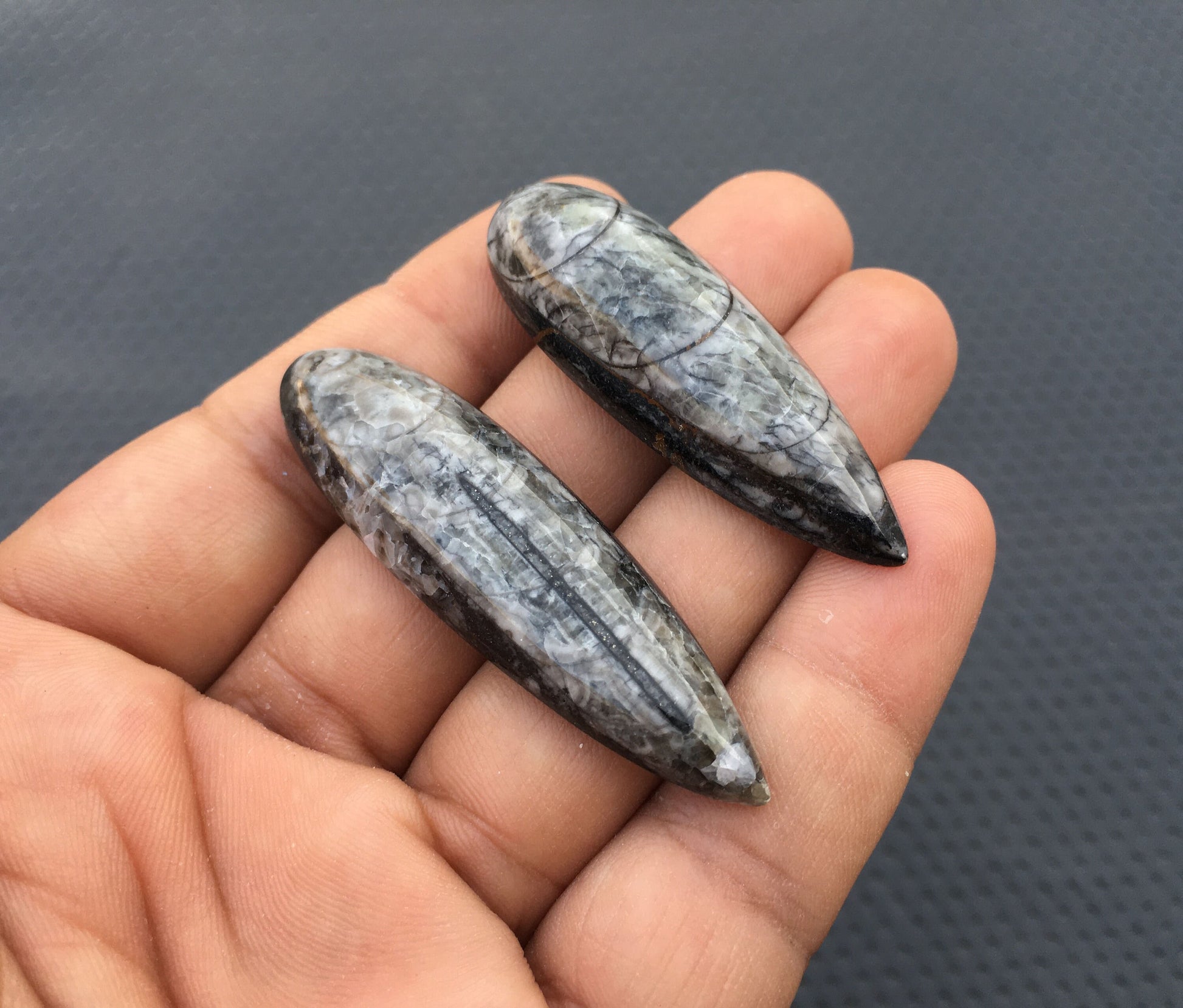 ORTHOCERAS FOSSIL Cabochons,Extra Large 2 Piece Natural Orthoceras Fossil Snakeskin Smooth Cabs,Size 16x55-16x58 MM Organic Fossil Stone