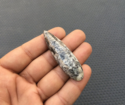 ORTHOCERAS FOSSIL Cabochons,Extra Large 1 Piece Natural Orthoceras Fossil Snakeskin Smooth Cabs,Size 16x60 MM Organic Fossil Stone Wholesale