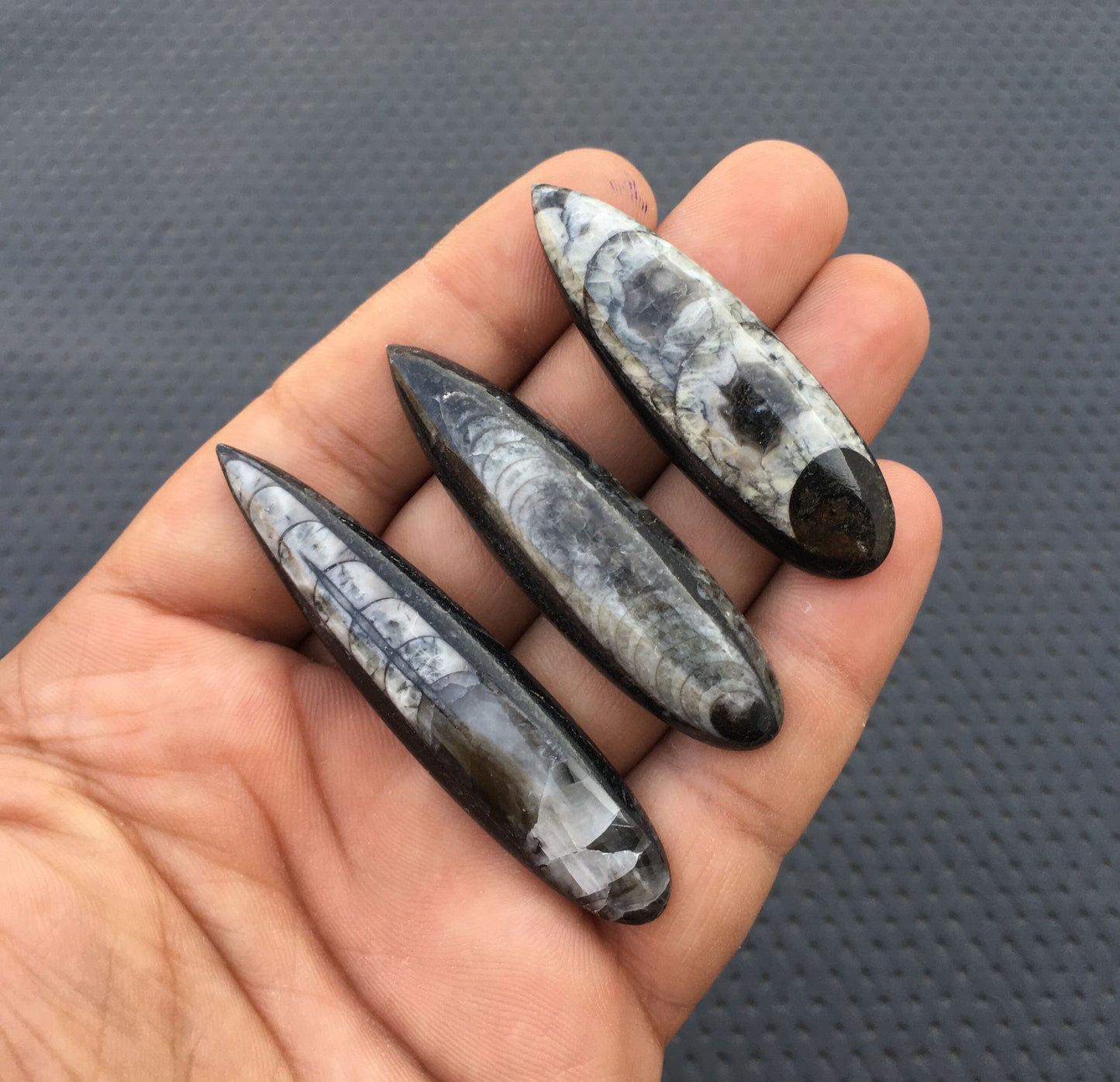 Semi Precious Gemstone,Natural Orthoceras Fossil Cabochons,3 Piece Snakeskin Smooth Cabs,Size 14x53-16x66 MM Handmade Macrame Wired Jewelry